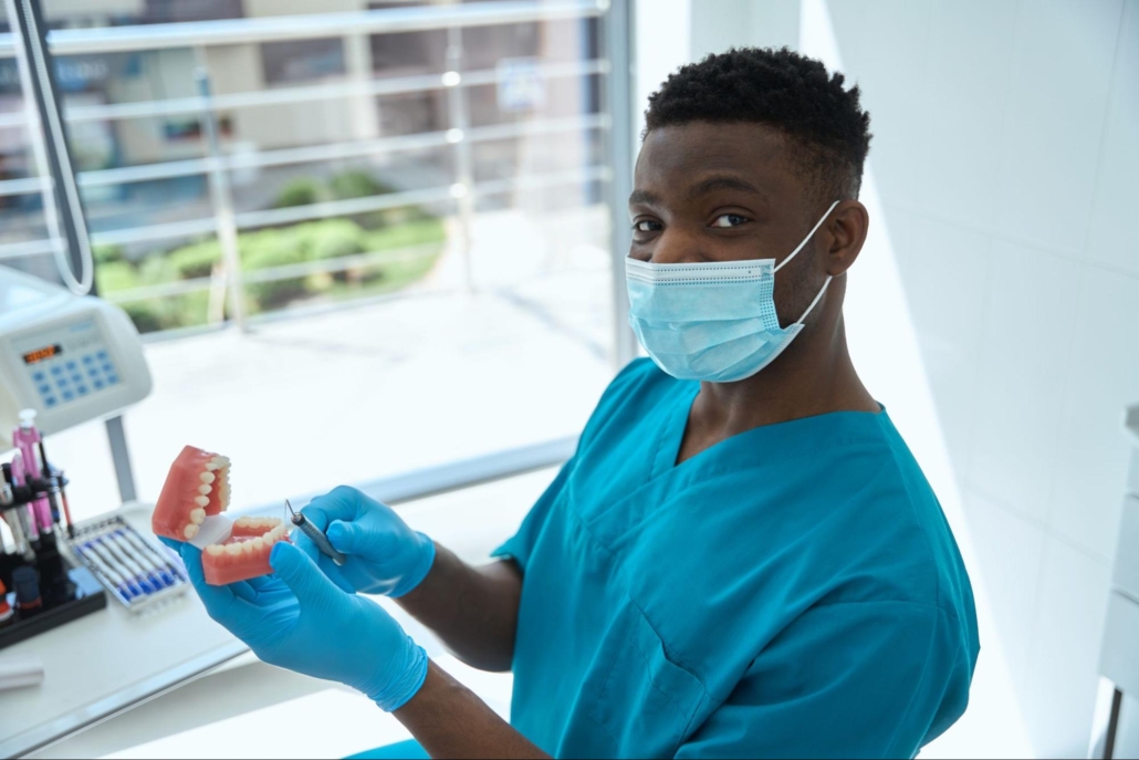Dental professional wearing a mask and gloves and holding a model of human teeth. 