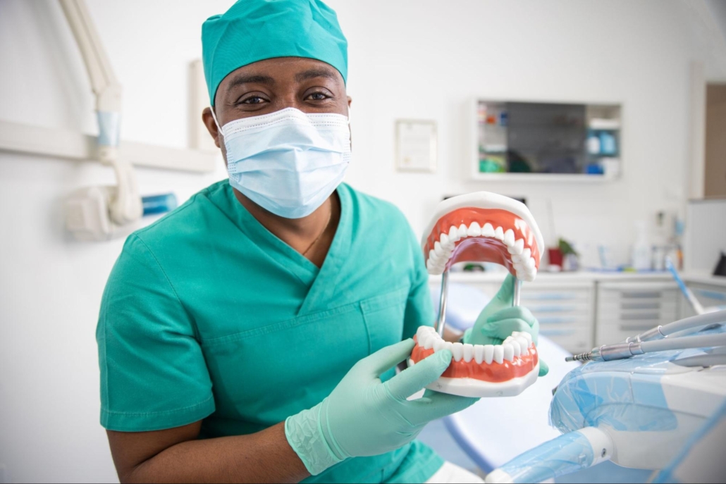 A dentist showing a dentition teeth model towards the camera.